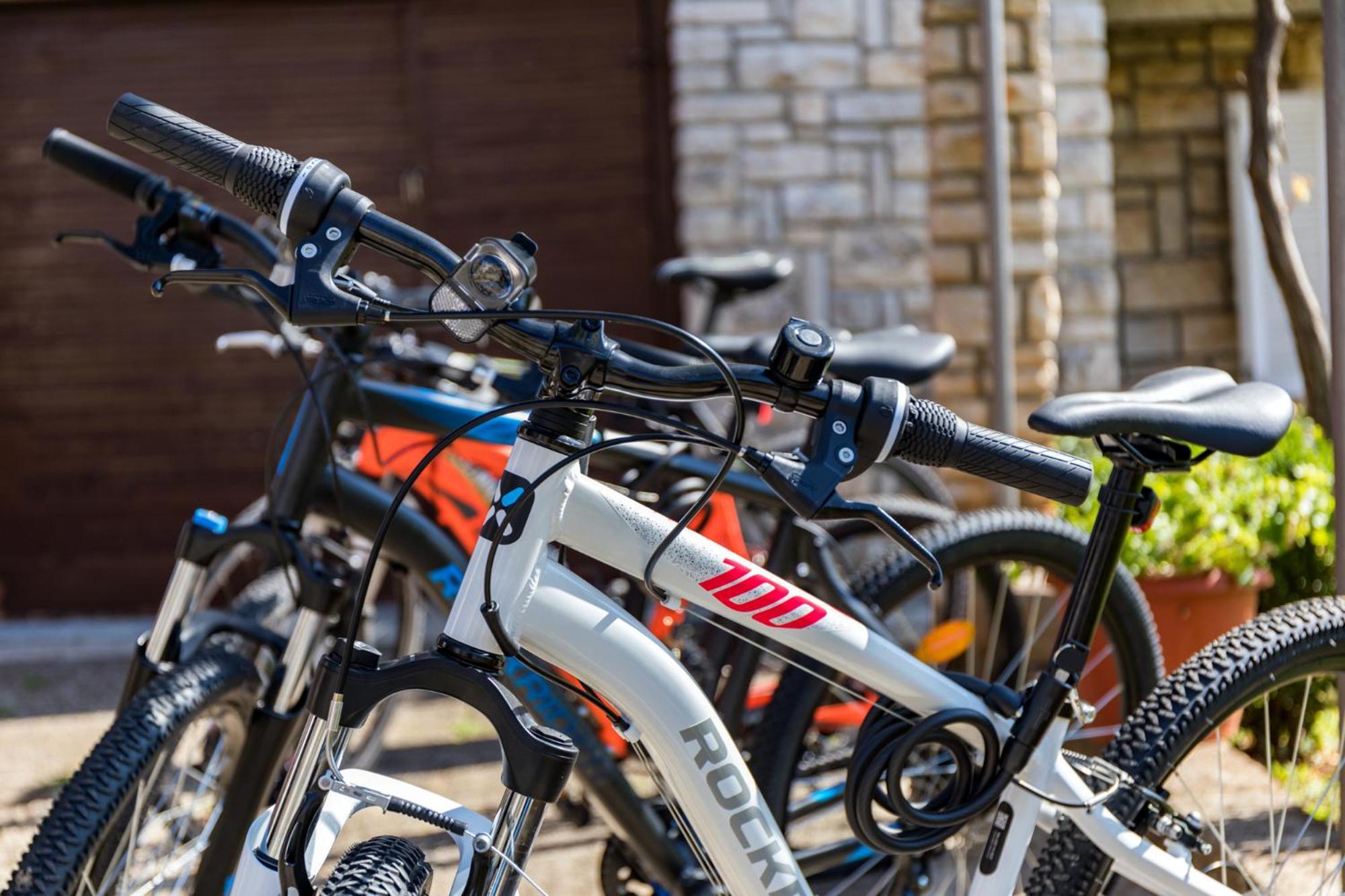 Apartment Tesic Close To The Sea With Shared 4Xbicycles Fažana Dış mekan fotoğraf